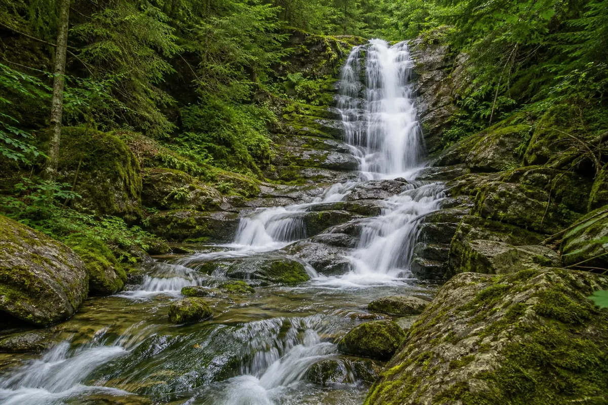 Cascadă într-o vale împădurită, apă căzând peste trepte de stâncă, vegetație bogată