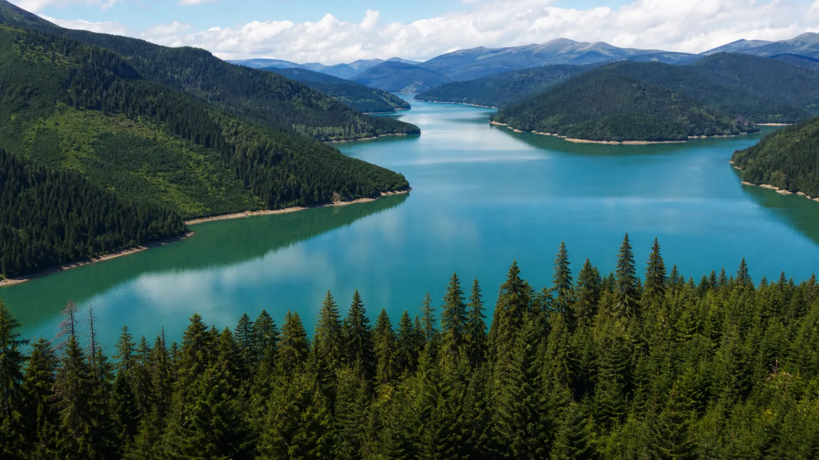 Vedere aeriană asupra Lacului Vidra, lac de acumulare turcoaz înconjurat de păduri de molid în Munții Lotrului
